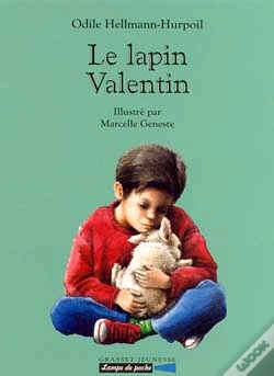 Capa do artigo Le Lapin Valentin