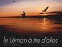 Le Leman A Tire D'Ailes - Preview