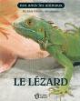 Le Lezard - Preview