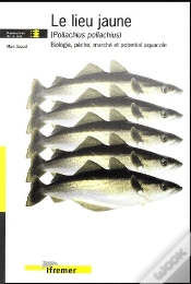 Capa do artigo Le Lieu Jaune (Pollachius Pollachius) - Biologie, Peche, Marche Et Potentiel Aquacole