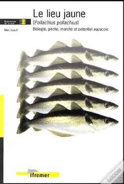 Capa do artigo Le Lieu Jaune (Pollachius Pollachius) : Biologie, Pêche, Marché Et Potentiel Aquacole