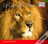 Le Lion De L'Atlas