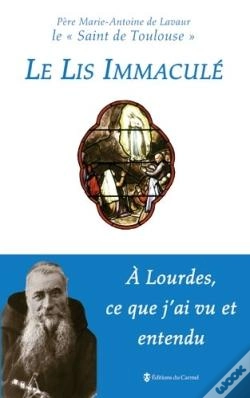 Capa do artigo Le Lis Immaculé ; À Lourdes, Ce Que J'Ai Vu Et Entendu