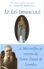 Le Lis Immaculé Tome 2 ; Merveilles Et Secrets De Notre-Dame De Lourdes - Preview