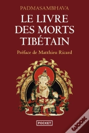 Capa do artigo Le Livre Des Morts Tibetain