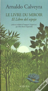 Le Livre Du Miroir