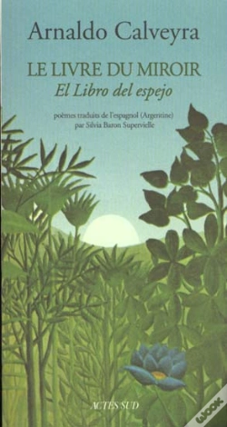 Capa do artigo Le Livre Du Miroir