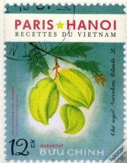 Capa do artigo Le Livre Du Vietnam