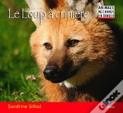 Capa do artigo Le Loup À Crinière