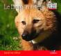 Le Loup À Crinière - Preview