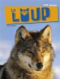 Le Loup - Preview
