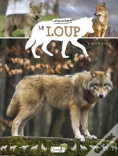 Le Loup