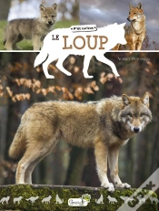 Capa do artigo Le Loup