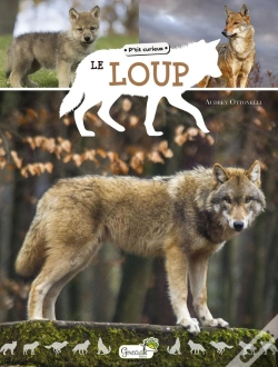 Capa do artigo Le Loup