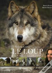 Le Loup, Sauvage Et Fascinant