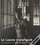 Le Louvre Transfigure