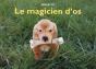 Le Magicien D'Os - Preview