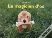 Capa do artigo Le Magicien D