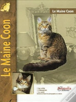 Capa do artigo Le Maine Coon