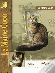 Capa do artigo Le Maine Coon