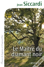 Capa do artigo Le Maître Du Diamant Noir