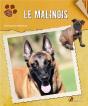 Le Malinois - Preview