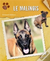 Capa do artigo Le Malinois