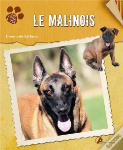 Capa do artigo Le Malinois