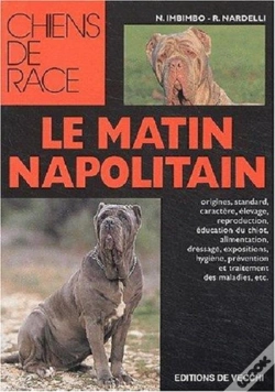 Capa do artigo Le Matin Napolitain