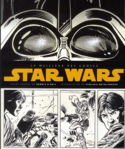 Capa do artigo Le Meilleur Des Comics Star Wars