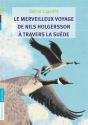 Le Merveilleux Voyage De Nils Holgersson - Preview
