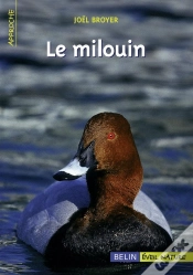 Capa do artigo Le Milouin