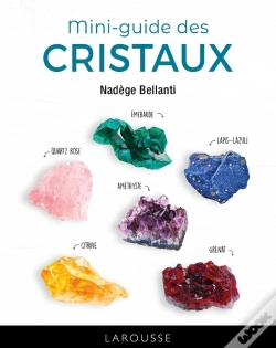 Capa do artigo Le Mini-Guide Des Cristaux