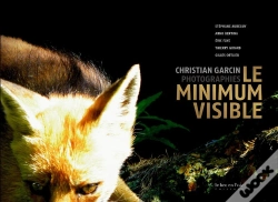 Capa do artigo Le Minimum Visible