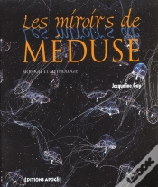 Capa do artigo Le Miroir De Meduse