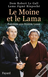 Le Moine Et Le Lama : Entretiens Avec Frédéric Lenoir
