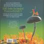 Le Monde Fascinant Des Fourmis - Preview
