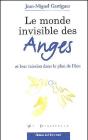 Le Monde Invisible Des Anges Et Leur Mission Dans Le Plan De Dieu - Preview