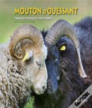 Le Mouton D'Ouessant