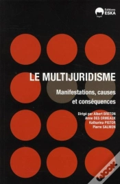 Capa do artigo Le Multijuridisme ; Manifestations, Causes Et Conséquences