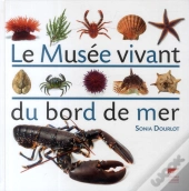 Le Musée Vivant Du Bord De Mer