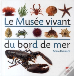 Capa do artigo Le Musée Vivant Du Bord De Mer