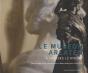 Le Museon Arlaten - Preview