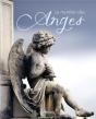 Le Mystere Des Anges - Preview
