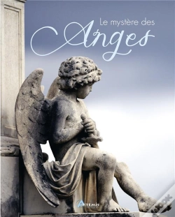 Capa do artigo Le Mystere Des Anges