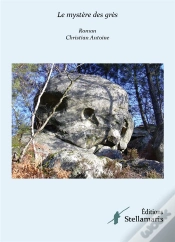 Capa do artigo Le Mystere Des Gres