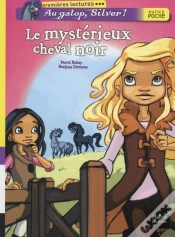 Capa do artigo Le Mystérieux Cheval Noir
