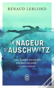 Capa do artigo Le Nageur D