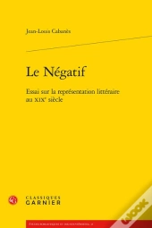 Le Négatif ; Essai Sur La Représentation Littéraire Au Xixe Siècle