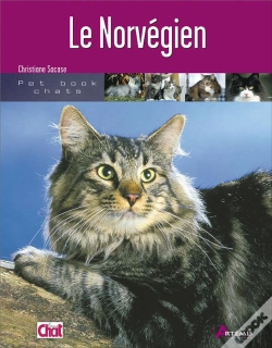Capa do artigo Le Norvégien